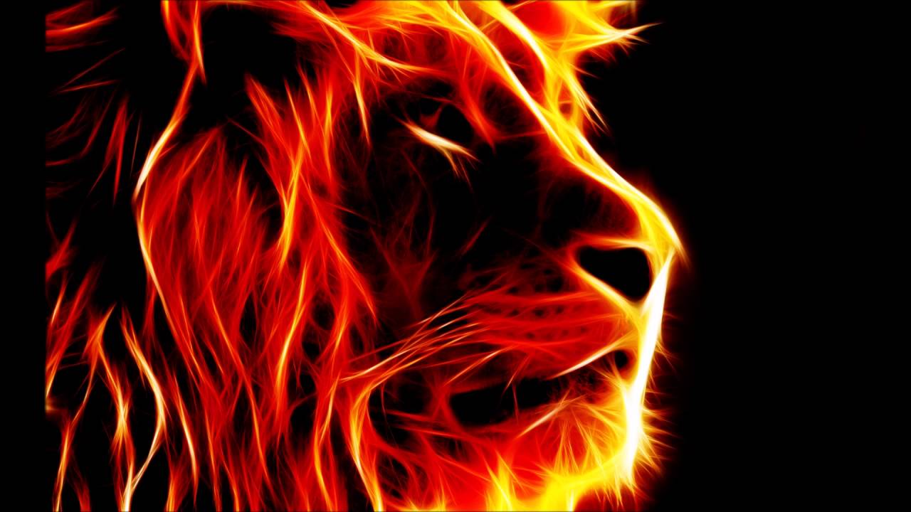 Lion King~This Land (Cover)