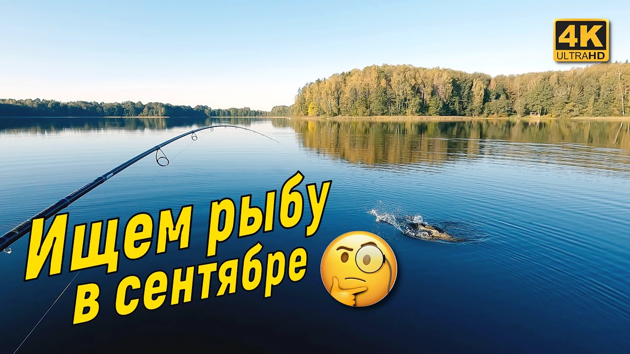 Поиск щуки и окуня в сентябре. Рыбалка на спиннинг осенью 2023