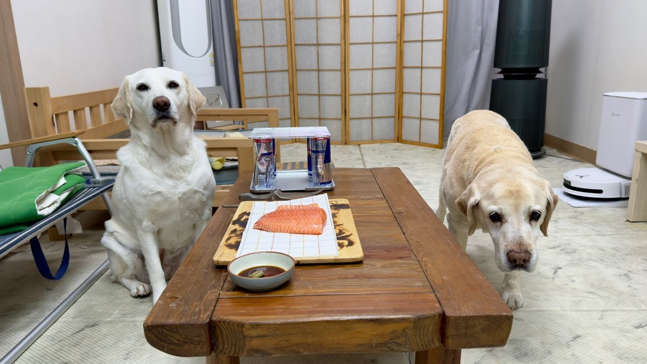 [라이브] 안녕 😃👋