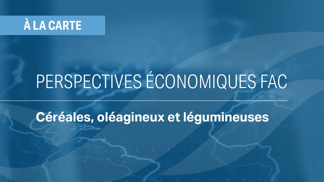 Céréales, oléagineux et légumineuses : Perspectives économiques FAC 2026