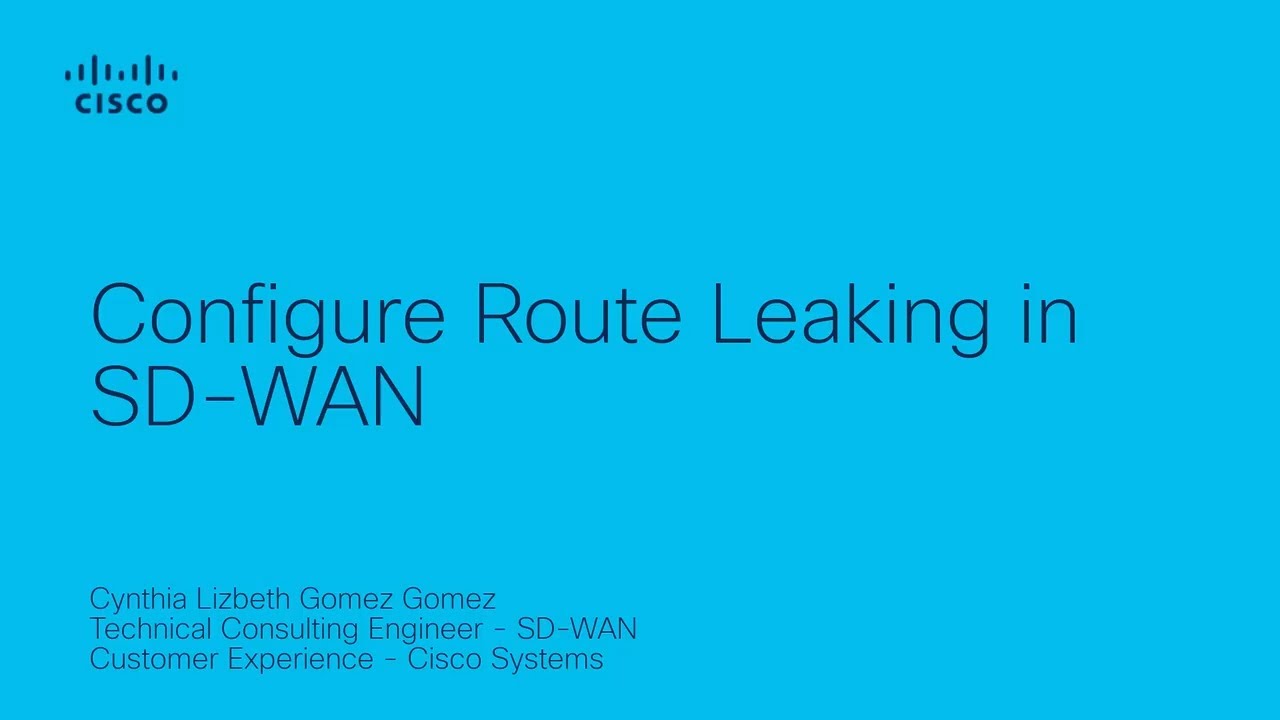 How to Configure Route Leaking in SD-WAN | Simplify Network Routing
