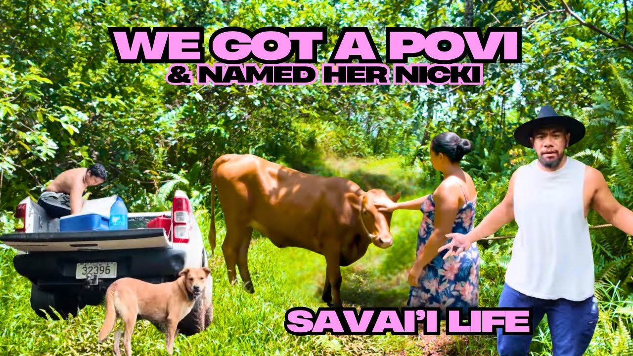 Our New Povi Nicki | Savaii Life