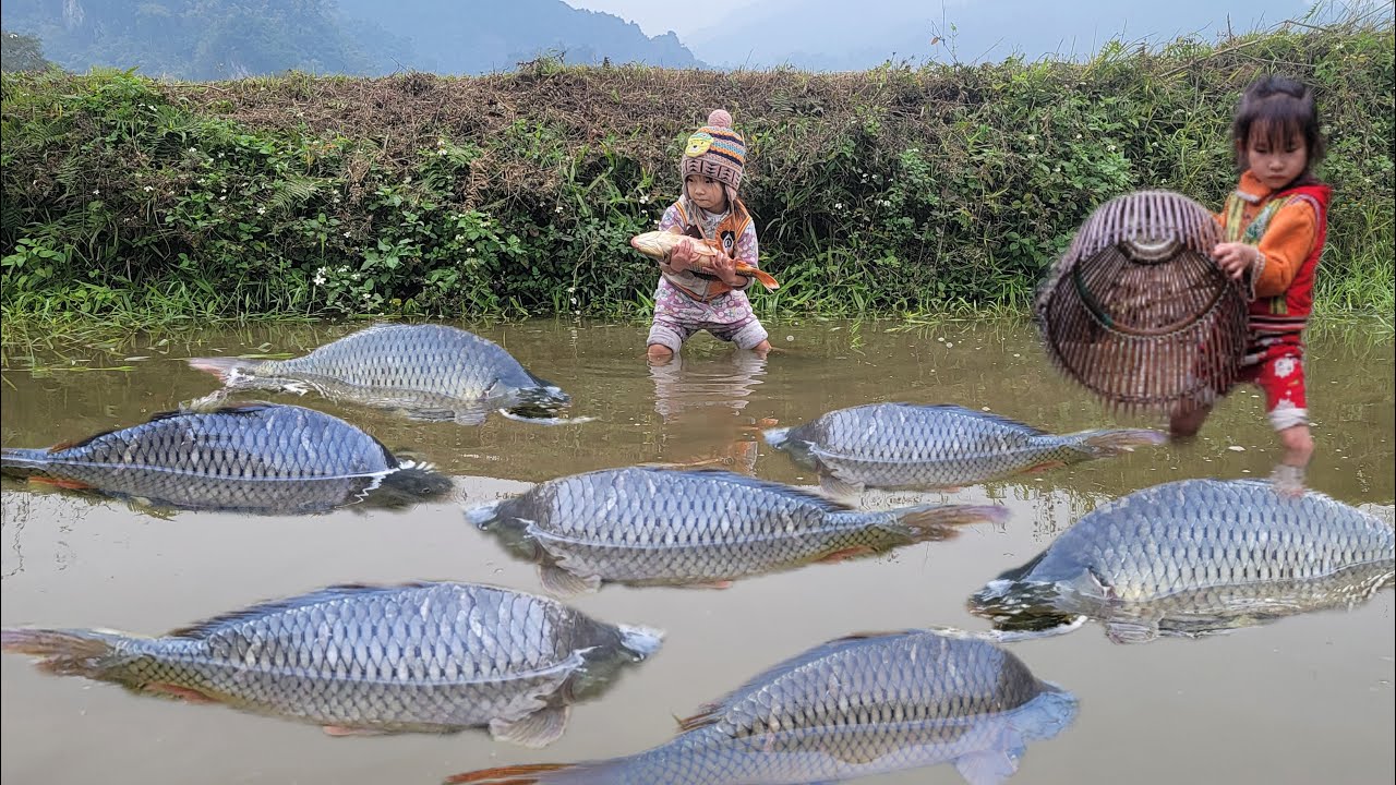 Full video of Su: 31 days with her daughter, trap giant fish in nature. Great fishing skills