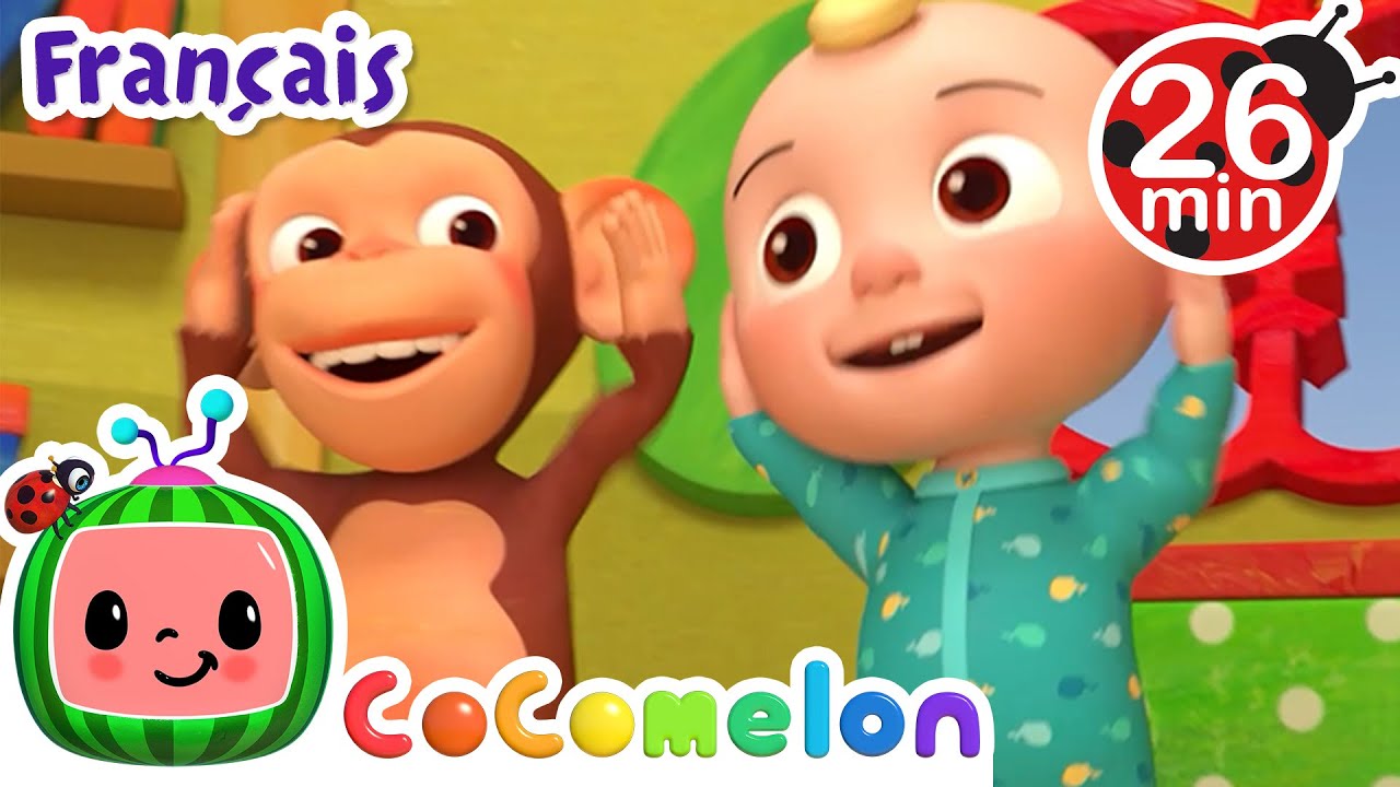 Tête épaules genoux pieds | CoComelon en Français | Chansons pour bébés