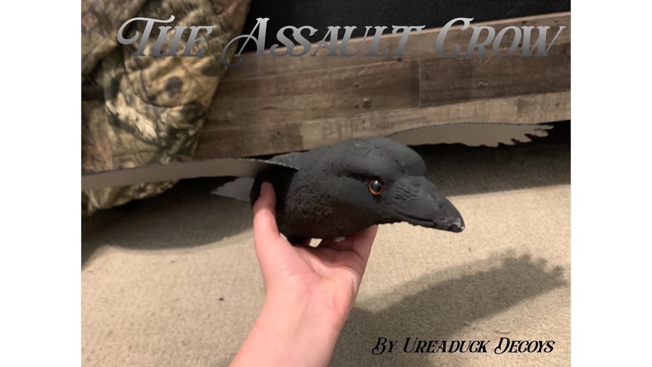 The Assault Crow By Ureaduck Decoys