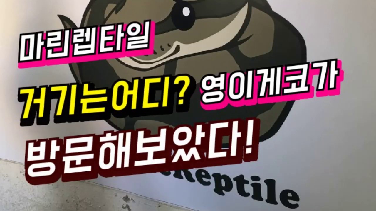 [영이게코] 김해 마린렙타일을 방문해보자! 얼마나 좋길래!!(feat.울산게코님 완두렙타일님)
