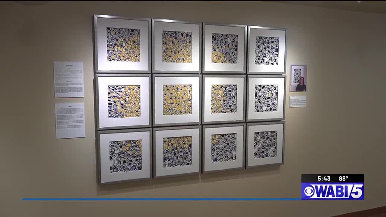 Bangor hospital reveals donated artwork to help create calming environment