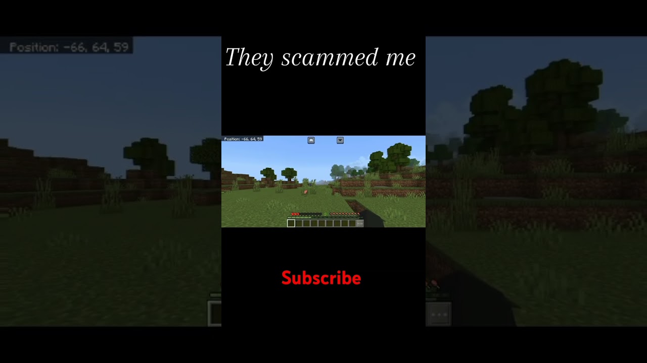 Minecraft Skull 💀 meme. When villager scam you