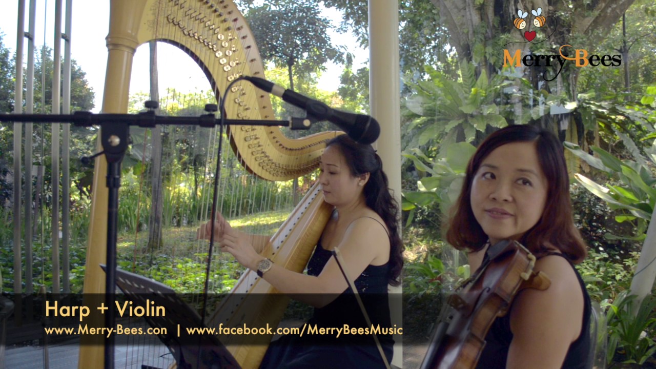Merry Bees Live Music - Harp Duo (classical #1)