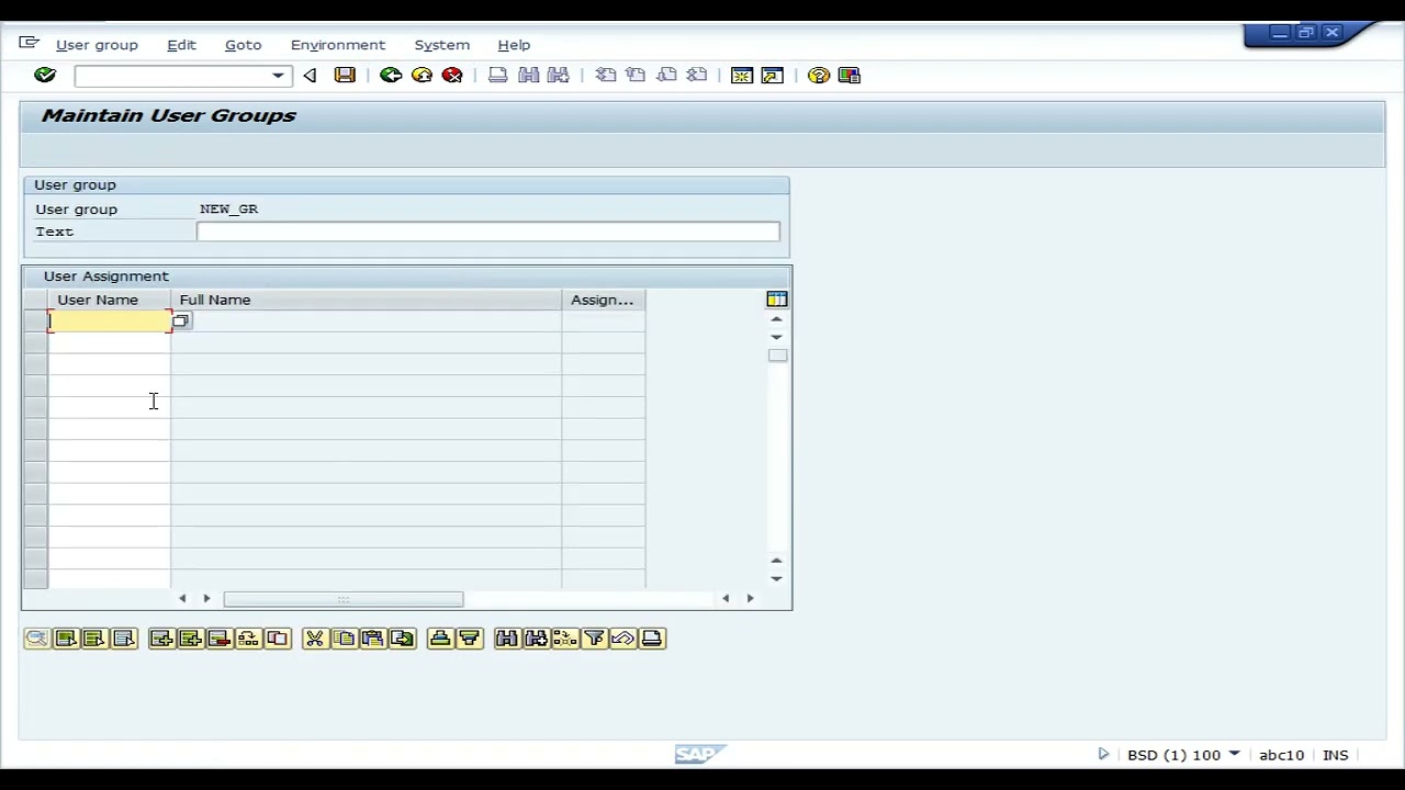 Create the user group in SAP