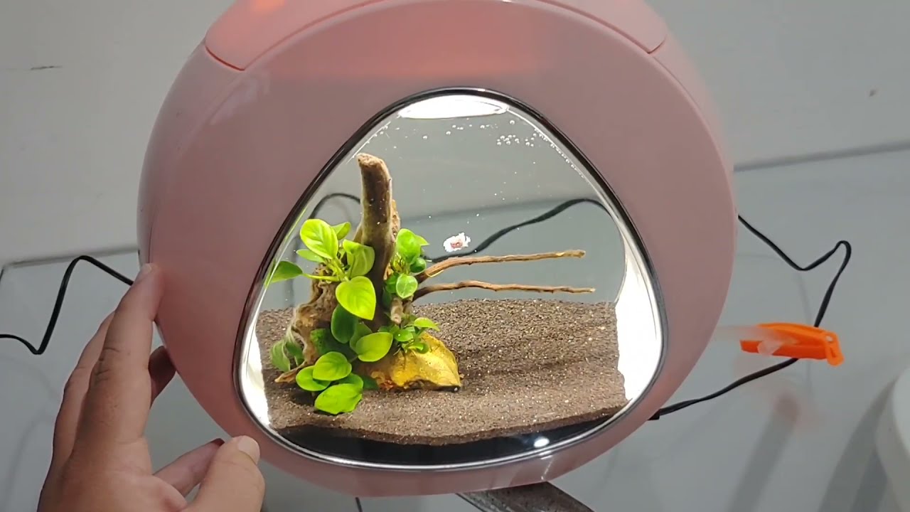 AQUA NANO PLANTADO #73 | NOVA BETTEIRA - AQUÁRIO SUNSUN YA-01