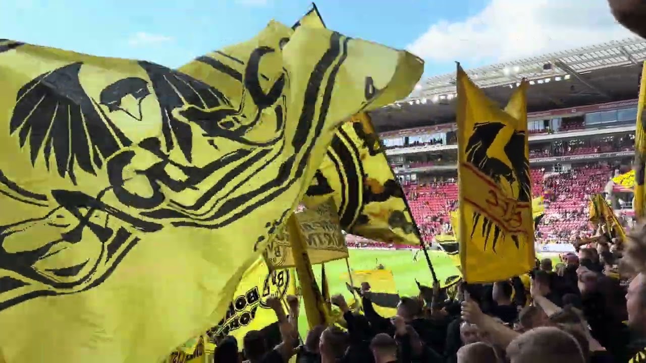 BVB Mainz - warmsingen in der Gästekurve - Dortmund Ultras