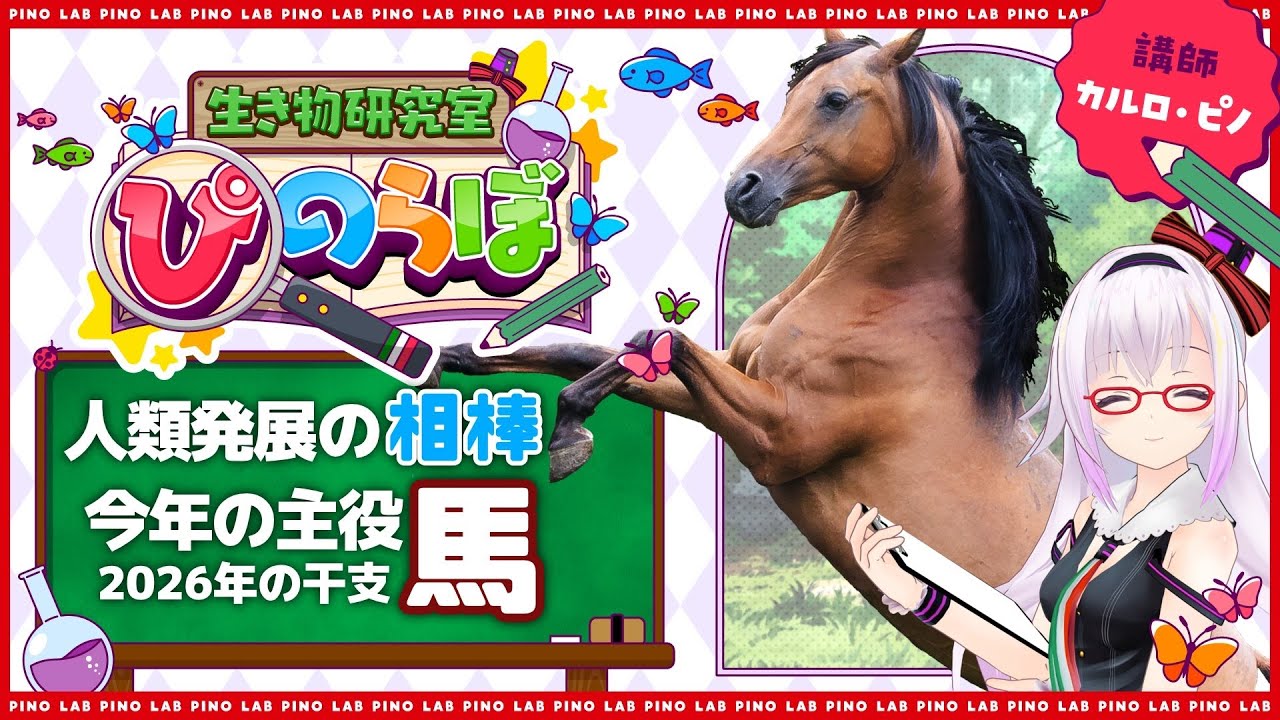 【昔は犬サイズだった？】今年の干支・馬のヒミツを知ろう【ぴのらぼ】