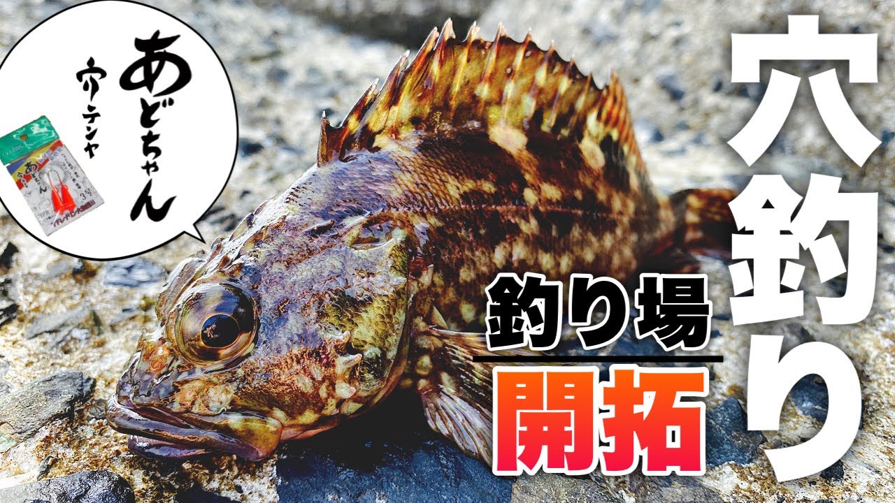 【穴釣り】穴釣りの聖地を求めて新規開拓！穴釣りには夢がある！