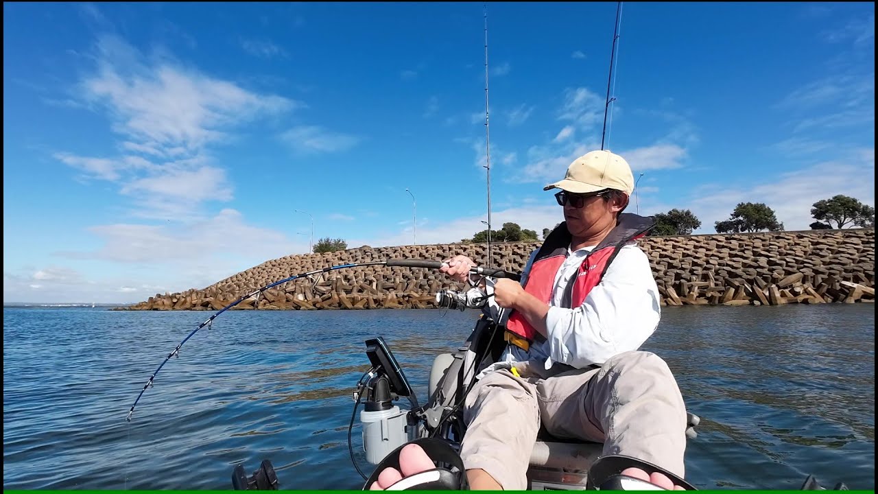 The KINGIES were BUSTING up EVERYWHERE! | Sydney Kayak Fishing