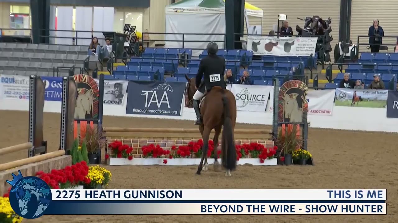 2021 Thoroughbred Makeover Finale: Show Hunter