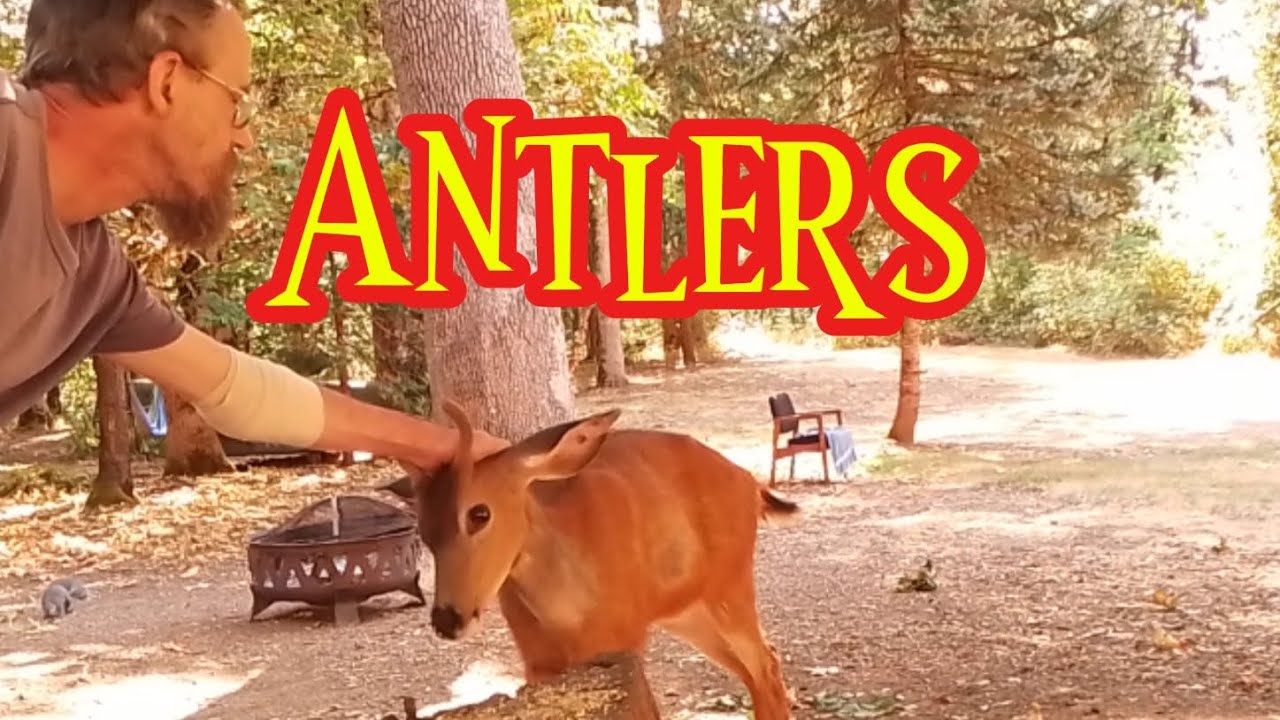 Antlers