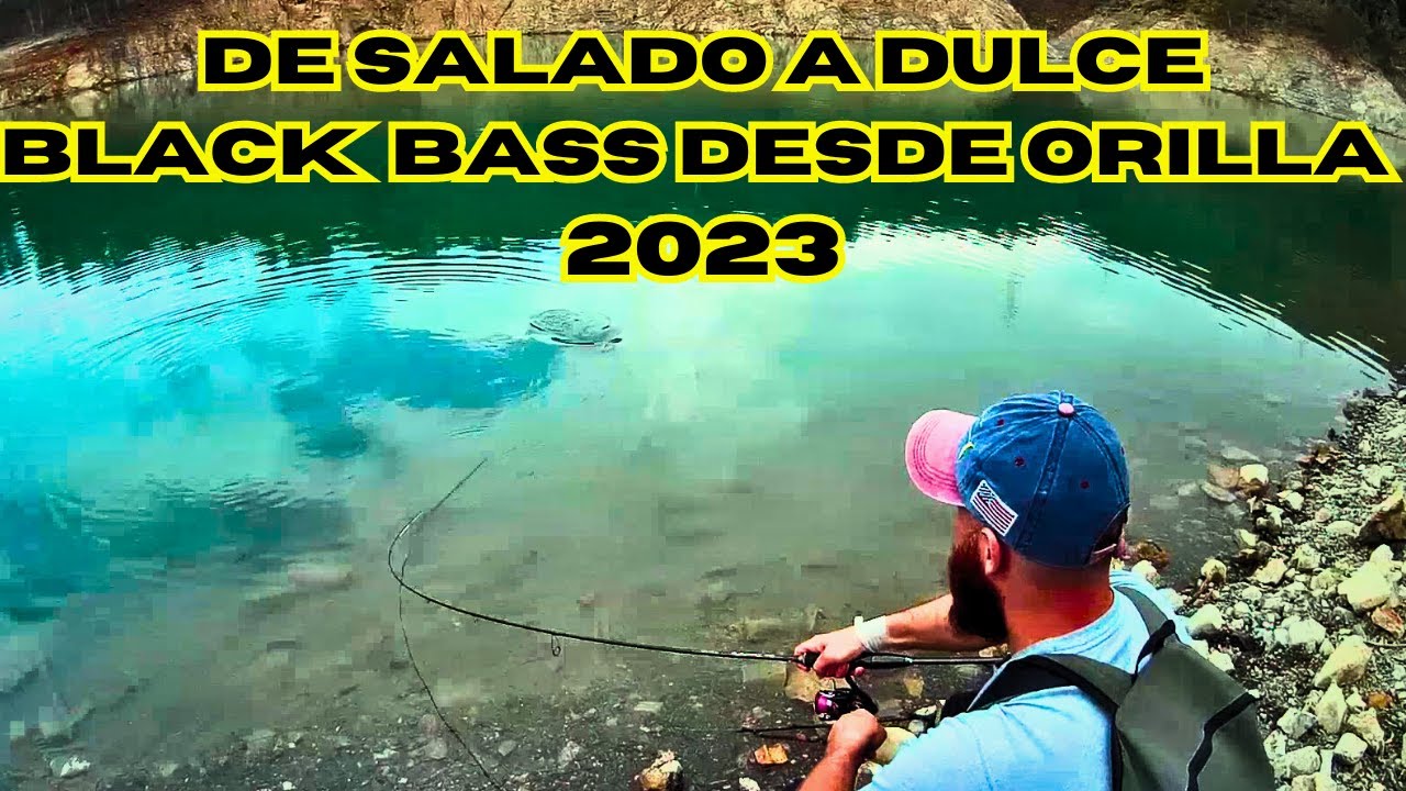 De SALADO a DULCE !! BLACK BASS desde ORILLA 2023