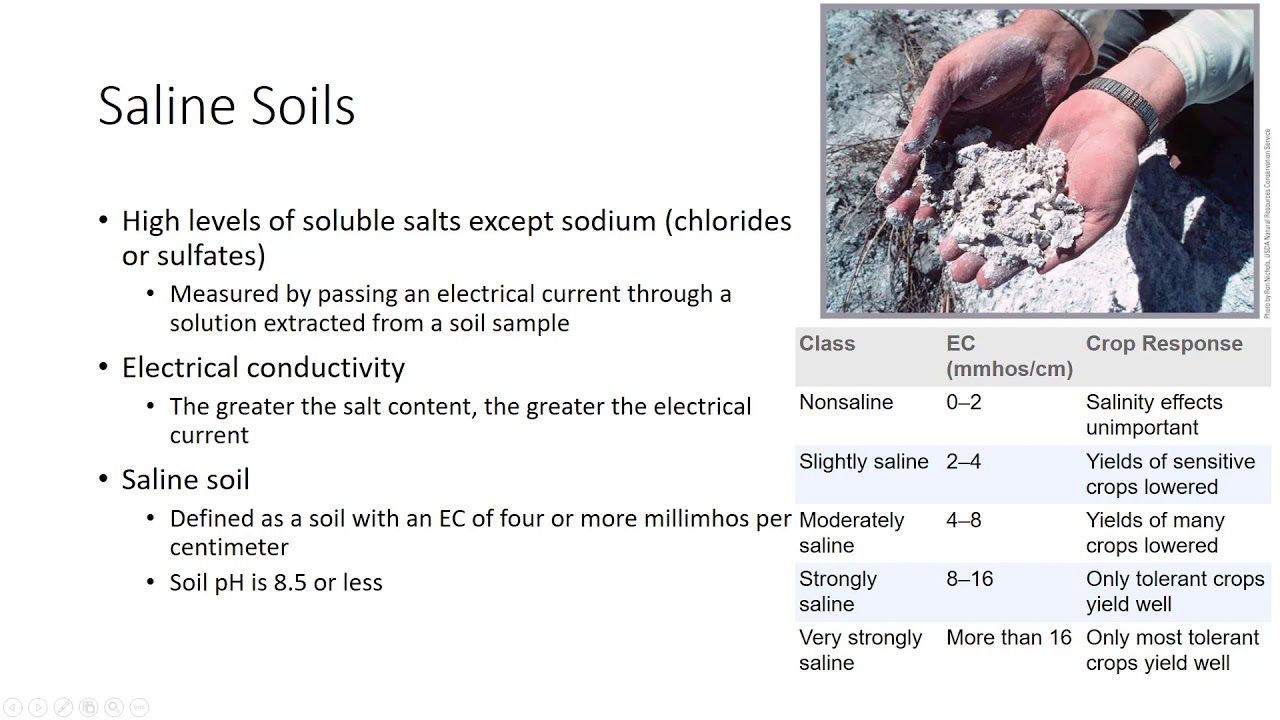 Soil Salinity