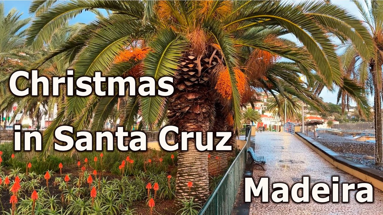 Christmas Through a Child’s Eyes
