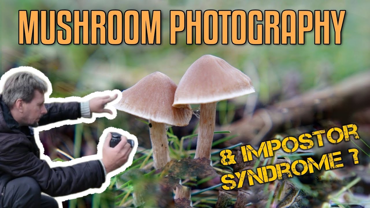 Mushroom Photography Handheld & Talking About Imposter Syndrome