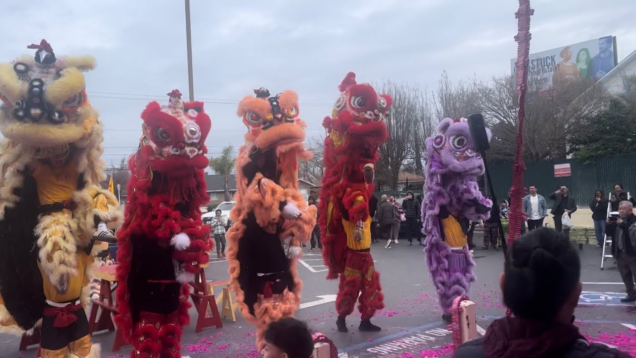 Dieu Quang Lion Dance Team Performance Lunar New Year 2026