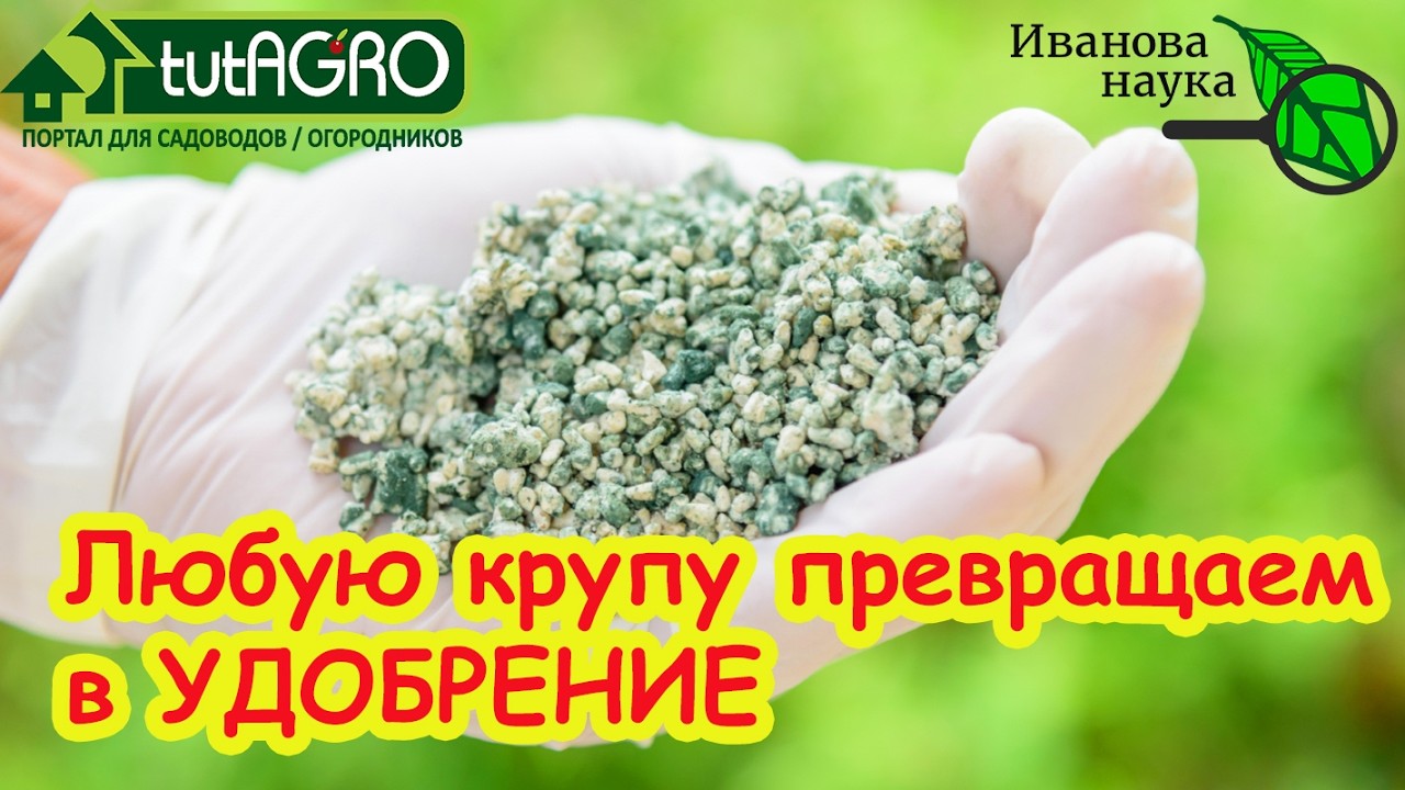 Как нас обманывают с триходермой. 6 вопросов и ответов о Триходерме: Опасность для человека и почвы.