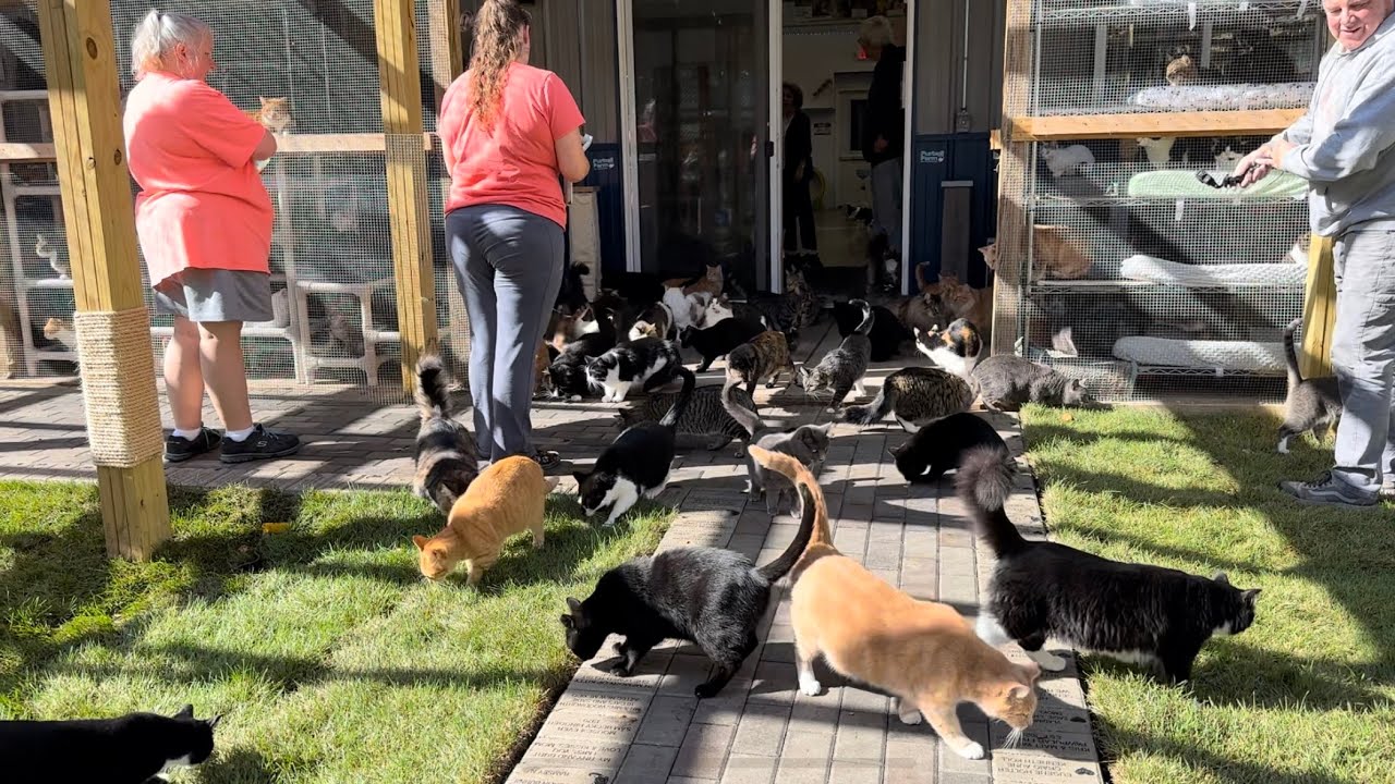 When we opened the outdoor playground…