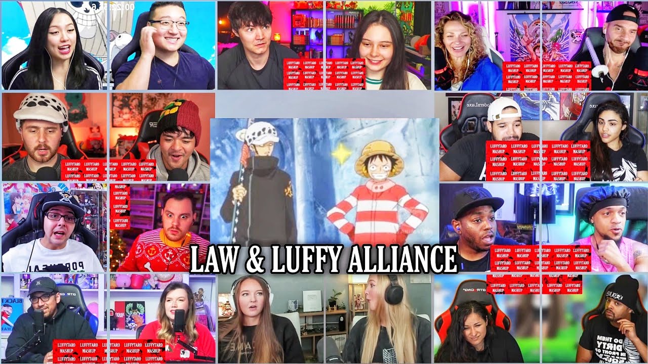 Luffy & Law's Alliance Reaction Mashup | One Piece Episode 588-593-594
