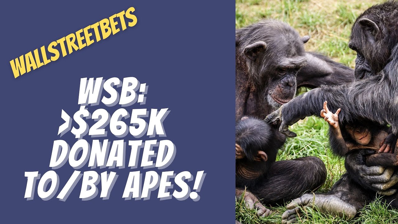 $265,000 raised so far for Dian Fossey Gorilla Fund ❤️ 🍌🦍🚀🌕 - WallStreetBets Stories.