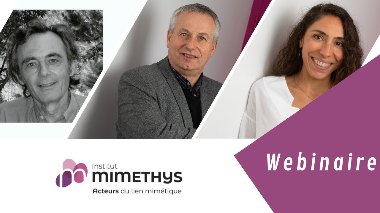[ WEBINAIRE ] La place du tiers dans le psychotraumatisme