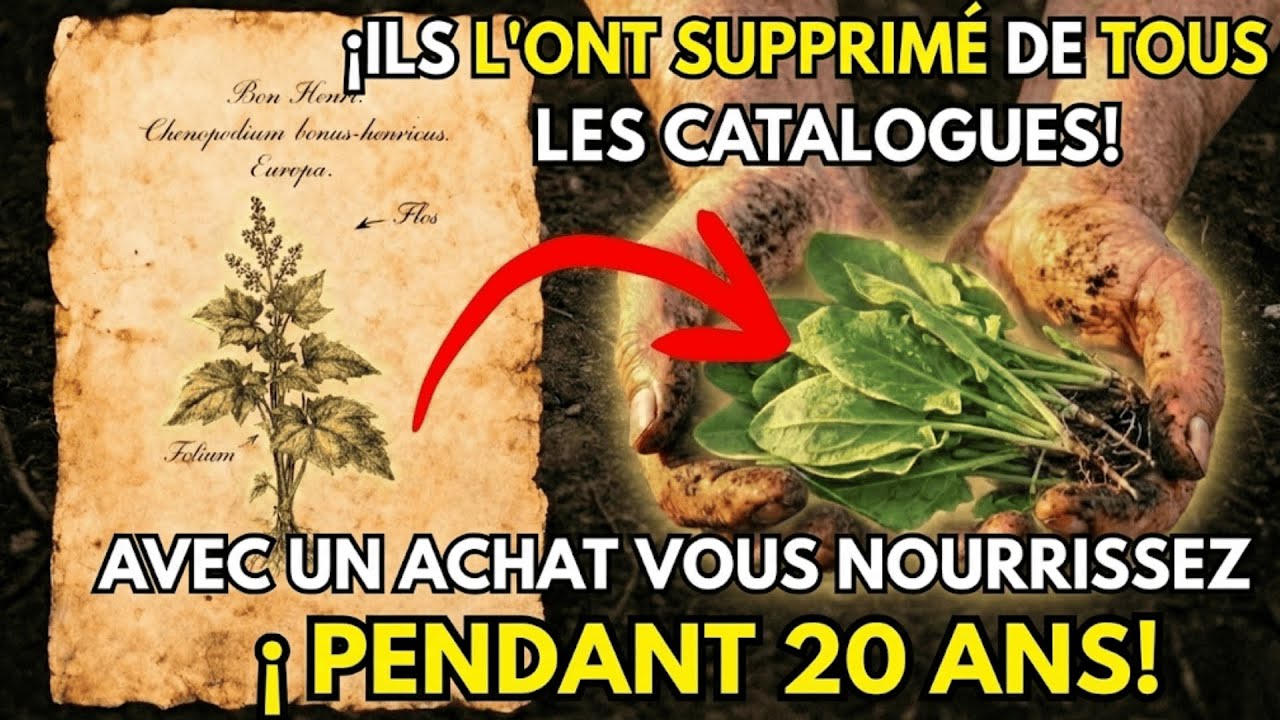 Plantez Une Fois, Nourrissez Votre Famille Pour Toujours : Pourquoi Ne Le Saviez-Vous Pas ?