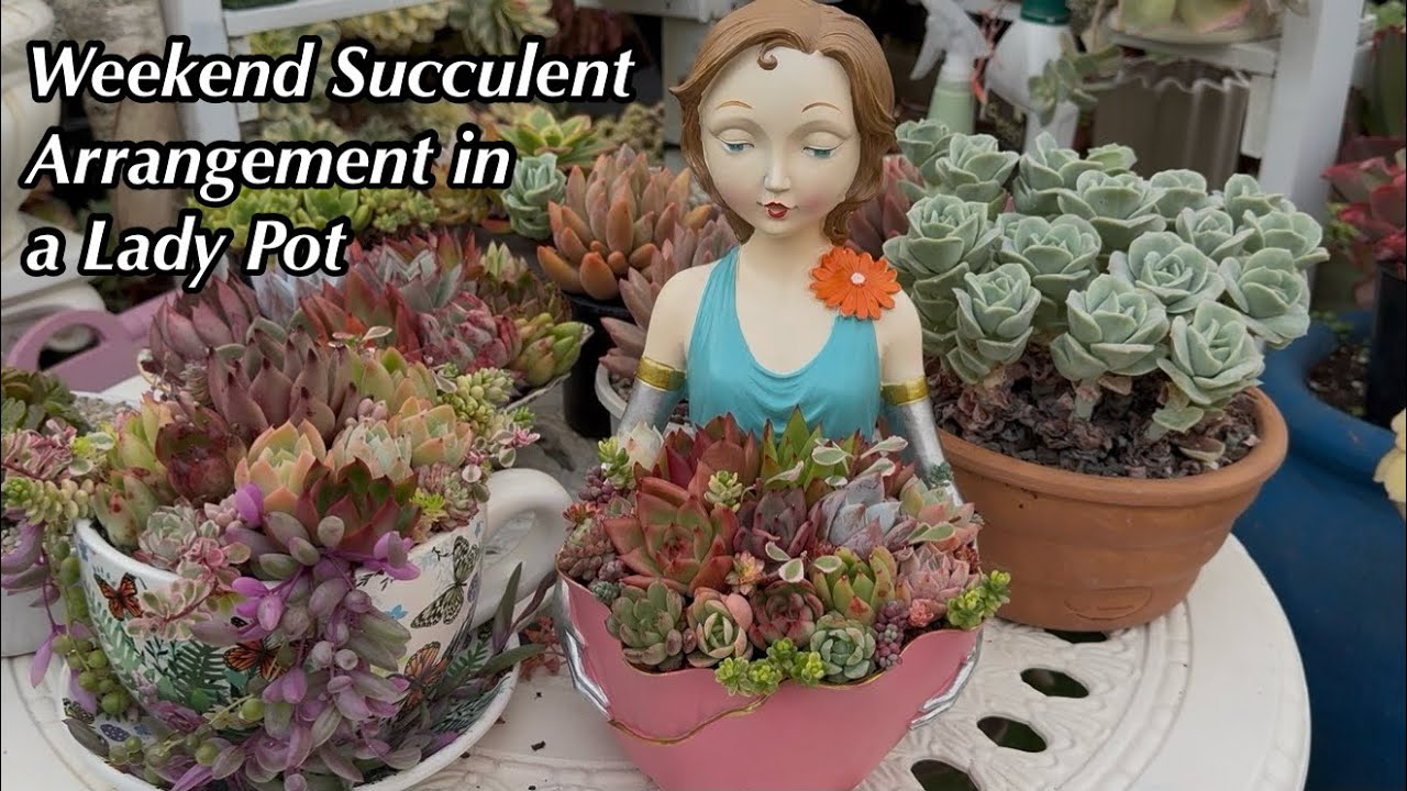 Bringing This Lady Pot to Life with Succulents /1March 2026