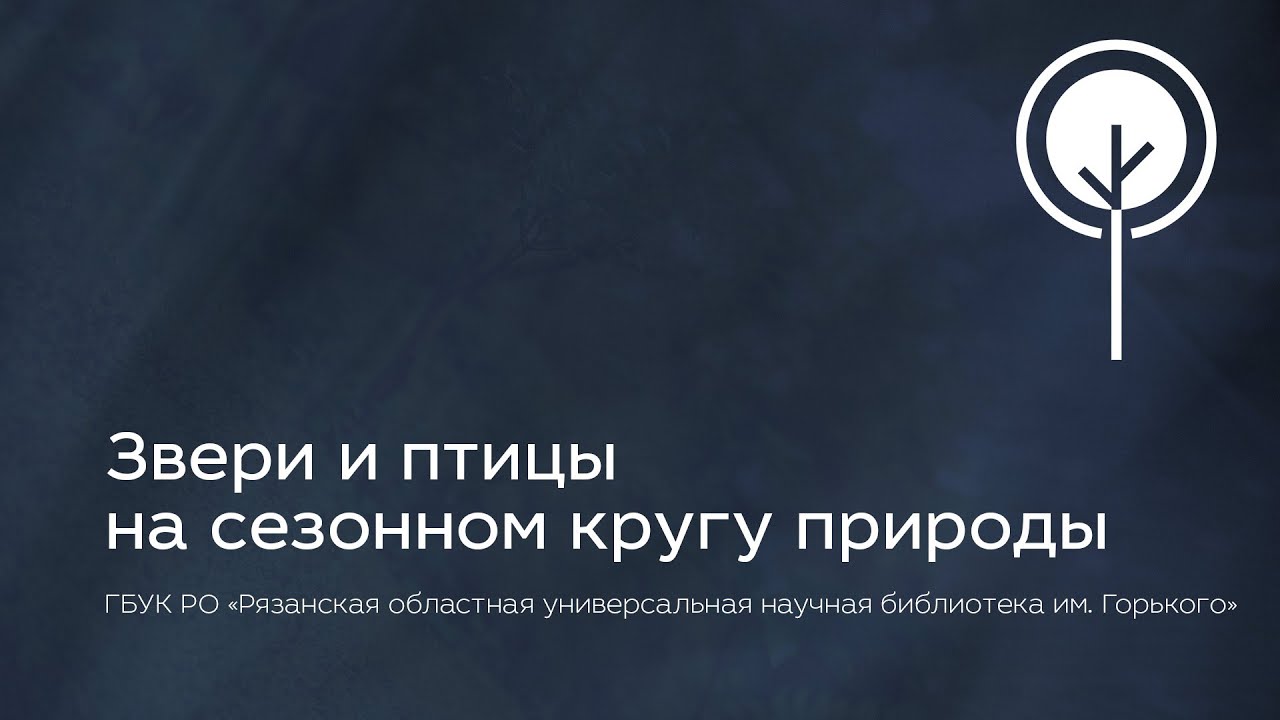 Звери и птицы на сезонном кругу природы