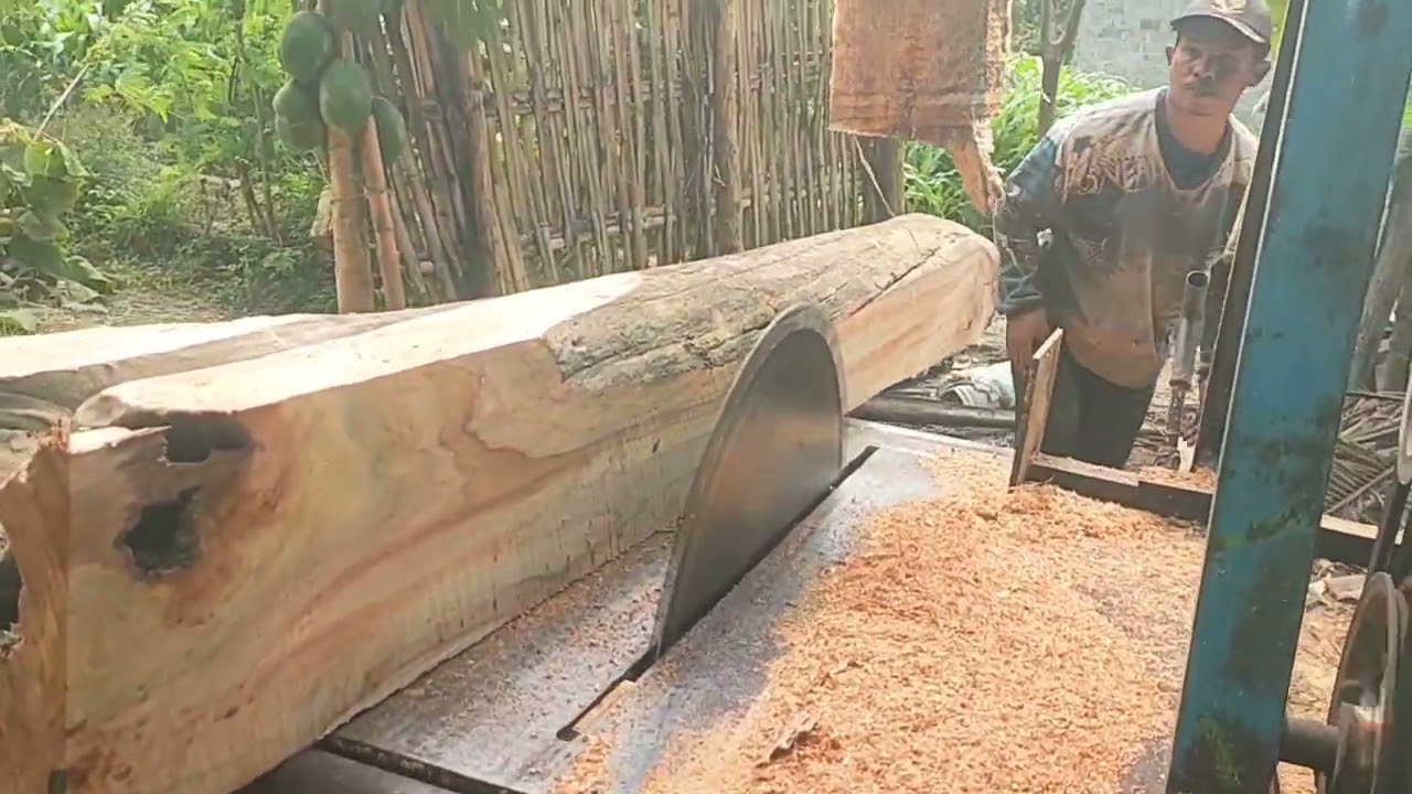 SANGAT LANGKA// PENGGERGAJIAN KAYU JATI KERING