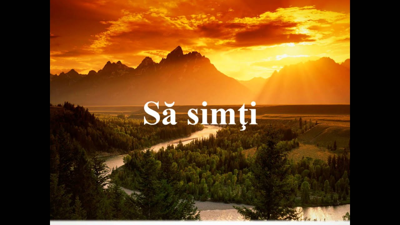 Save My Soul - O lume fara superficialitate