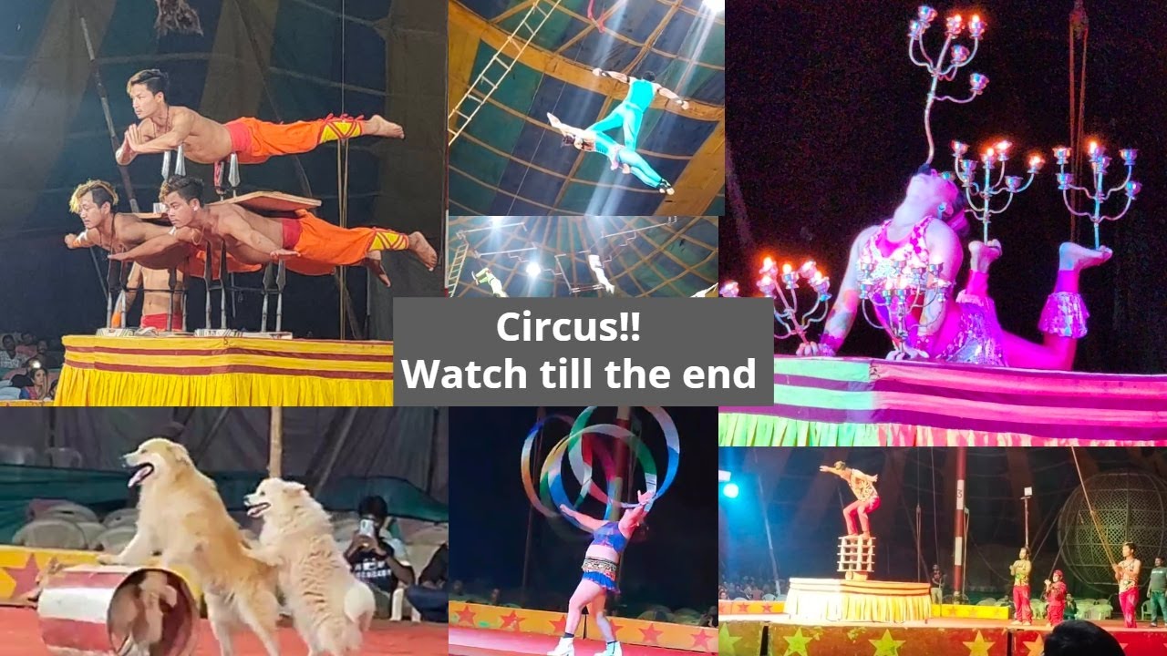Circus | Dangerous and Thrilling Acts | Apollo Circus Show now at Mangalore