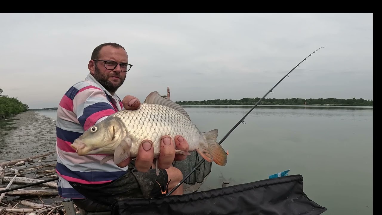 FEEDER EN FLEUVE