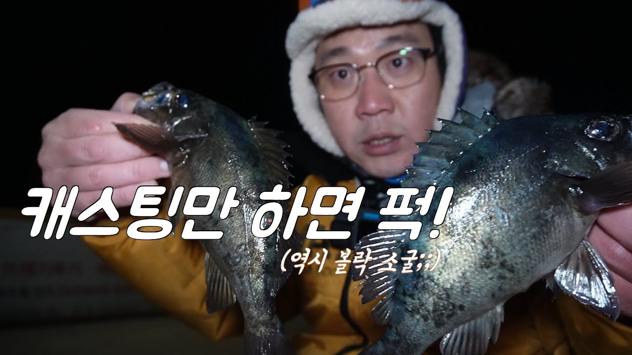 사람은 없고! 볼락은 많고! 이곳은 역시나 대박치는 곳!