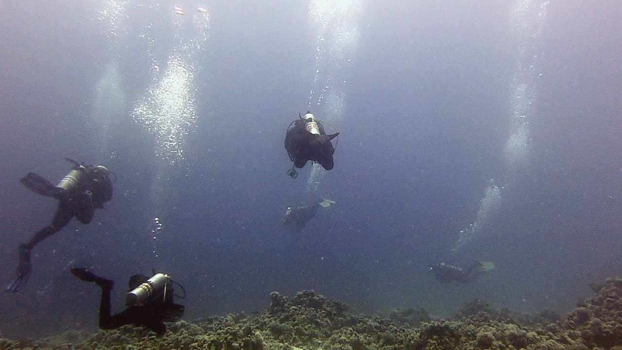 2023 Sharm El Shaikh & Dahab Trip Day 1