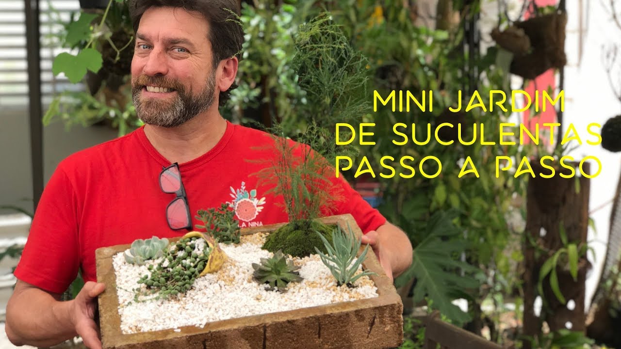 Como fazer Mini Jardim de Suculentas Passo a Passo