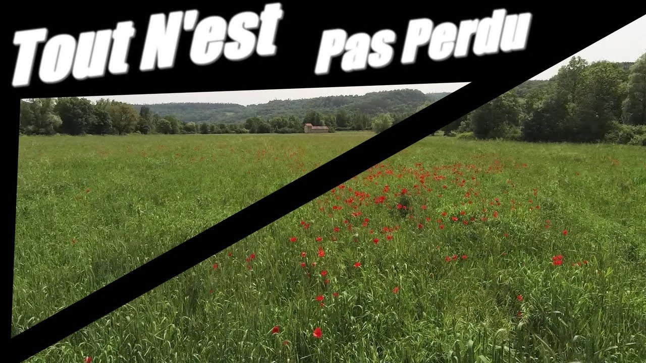 Tout N'est Pas Perdu !