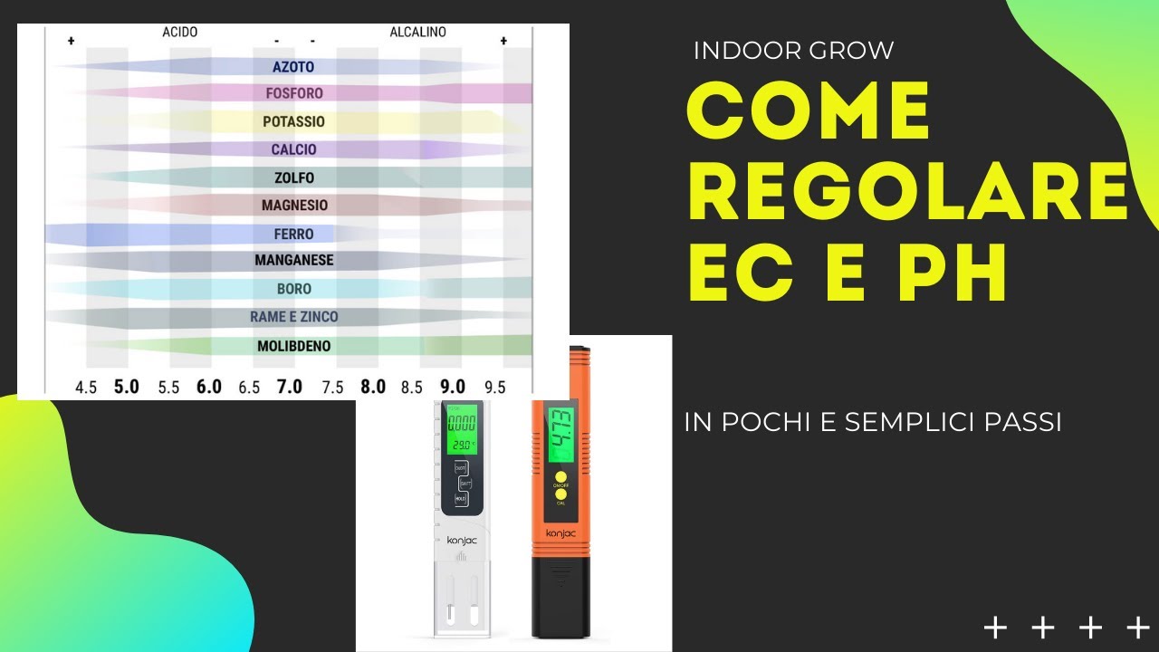 Come regolare EC e PH - Come fertilizzare Canna professional