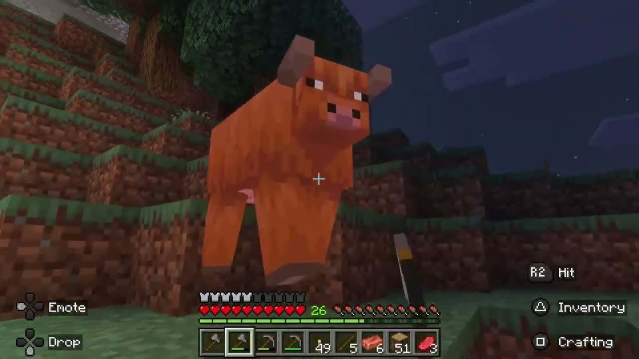 Minecraft