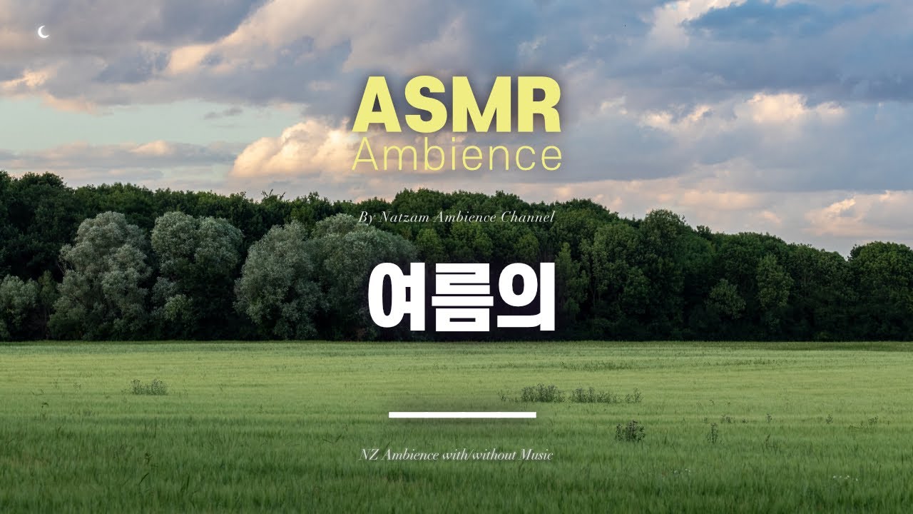 이러다 공허하게 죽고야 말겠구나🌙[여름의 __] asmr 앰비언스