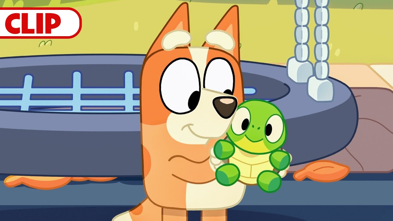 Bluey Season 3 Episode 30 