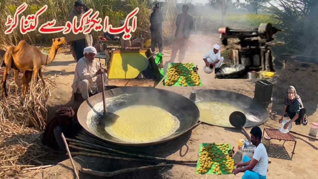 Gur Kaise Tyar Kiya Jata Hai Gaon Ka Khalis Gur ?