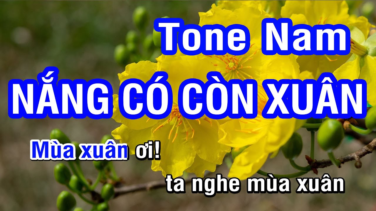Karaoke Nắng Có Còn Xuân - Tone Nam (G