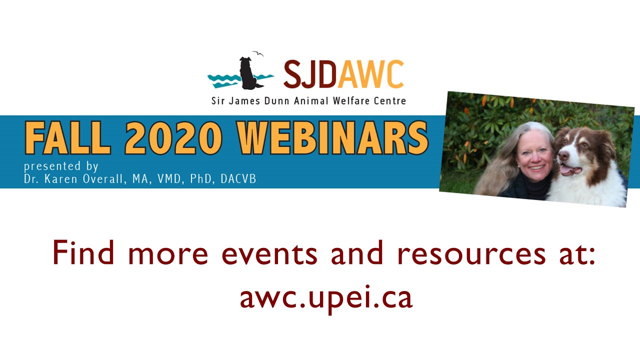 Attachment in cats and dogs: What can the data tell us? Dr. Karen Overall