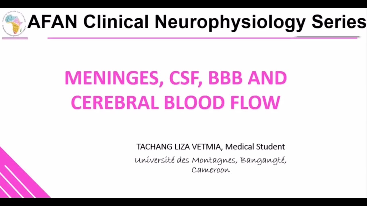 Meninges, CSF, BBB and Cerebral Blood Flow